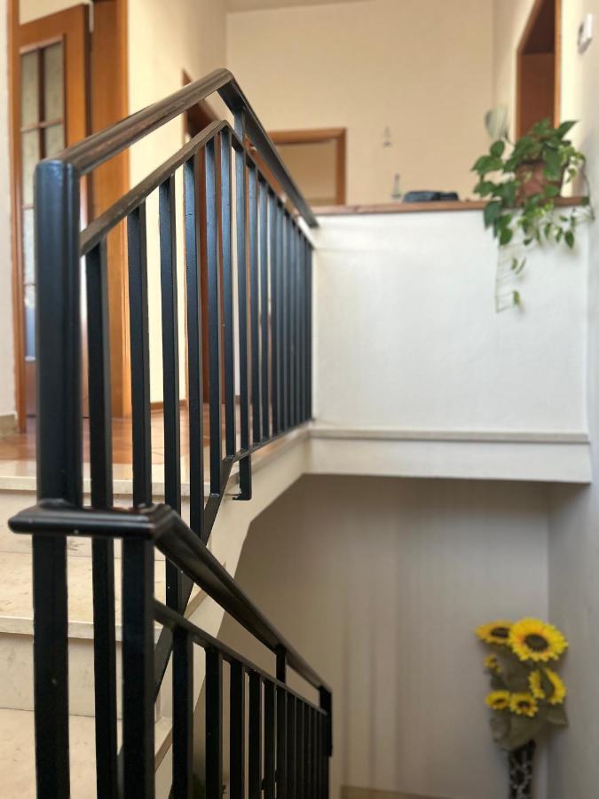 卢卡Albi'S House,Terrazza ,Wi-Fi, Parcheggio, Ac公寓 外观 照片