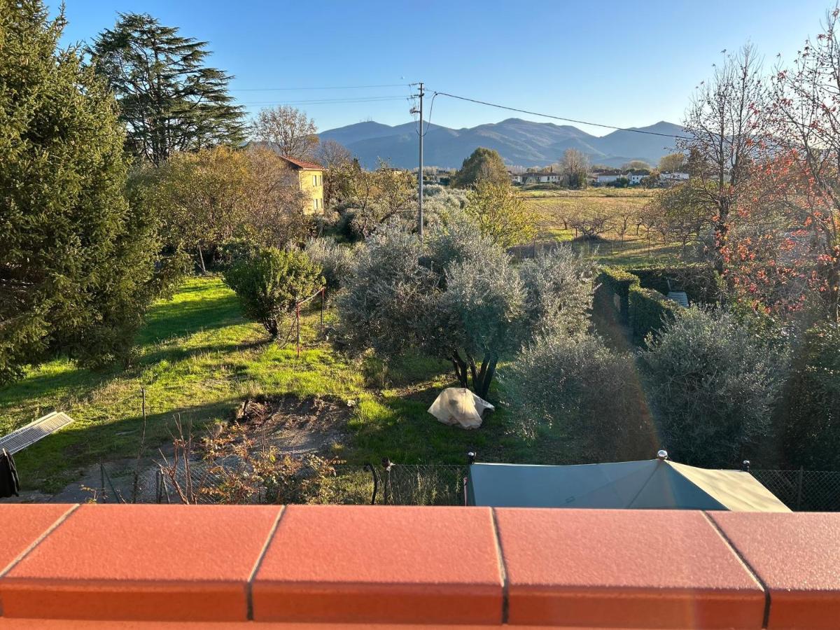 卢卡Albi'S House,Terrazza ,Wi-Fi, Parcheggio, Ac公寓 外观 照片