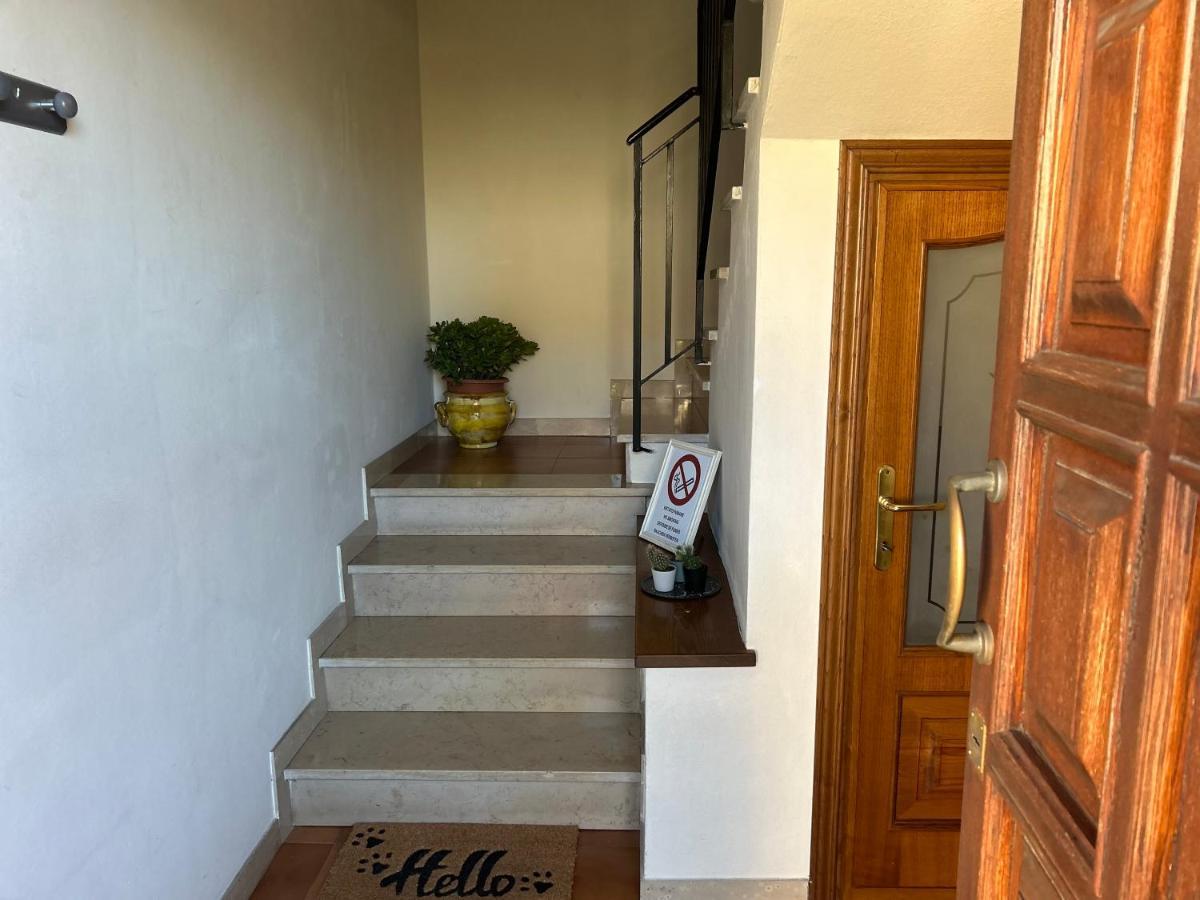 卢卡Albi'S House,Terrazza ,Wi-Fi, Parcheggio, Ac公寓 外观 照片