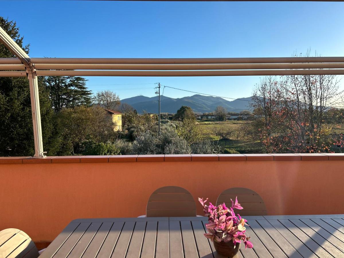 卢卡Albi'S House,Terrazza ,Wi-Fi, Parcheggio, Ac公寓 外观 照片